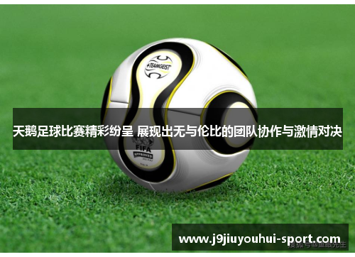 天鹅足球比赛精彩纷呈 展现出无与伦比的团队协作与激情对决
